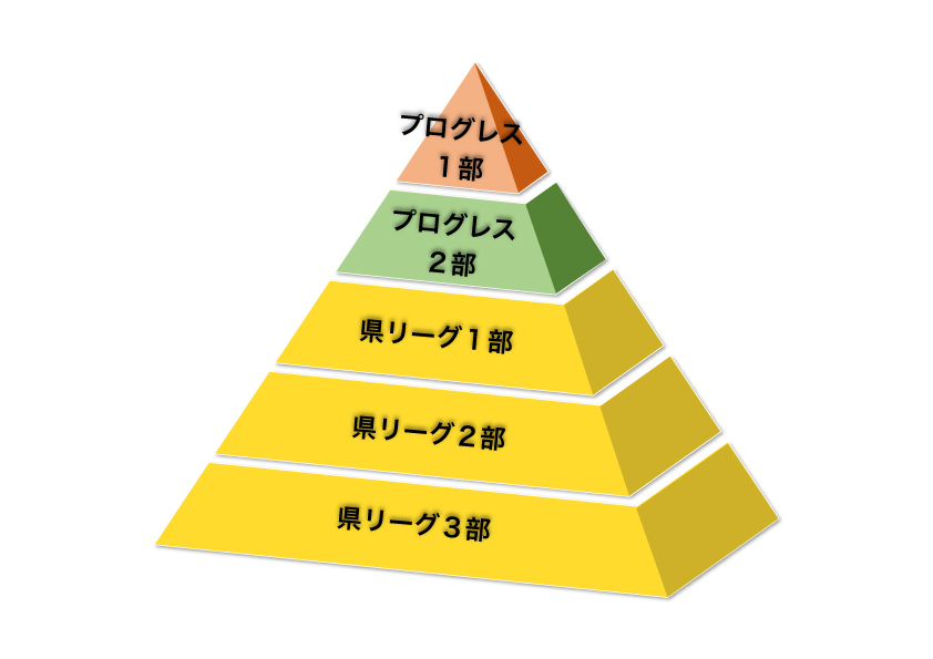 ジュニアユース_リーグ構造